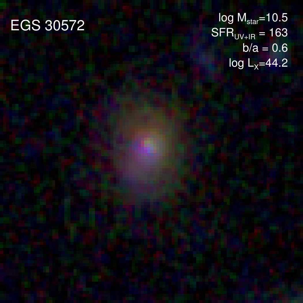Figure 39