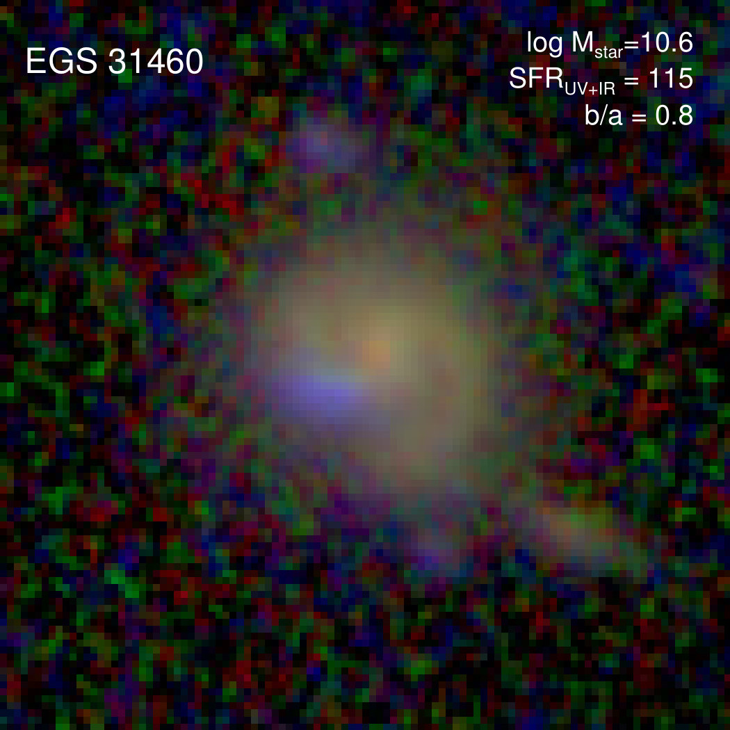 Figure 40
