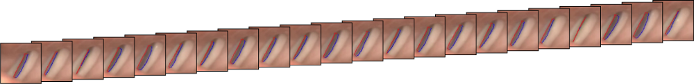 Figure 20