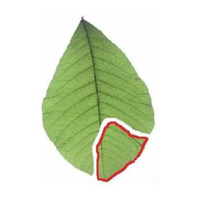 Figure 26