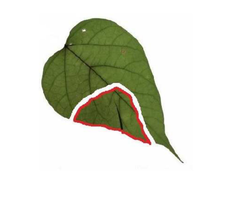 Figure 27
