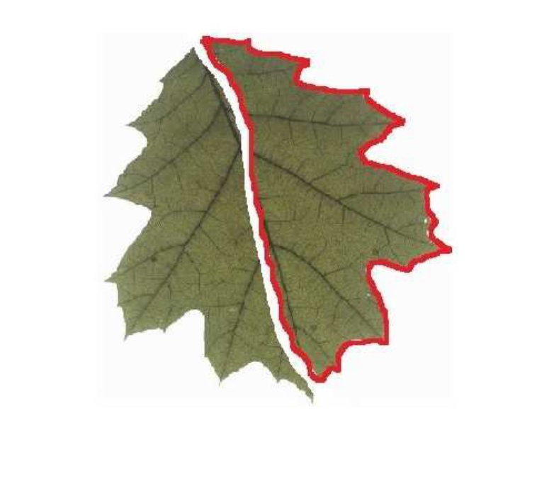 Figure 30
