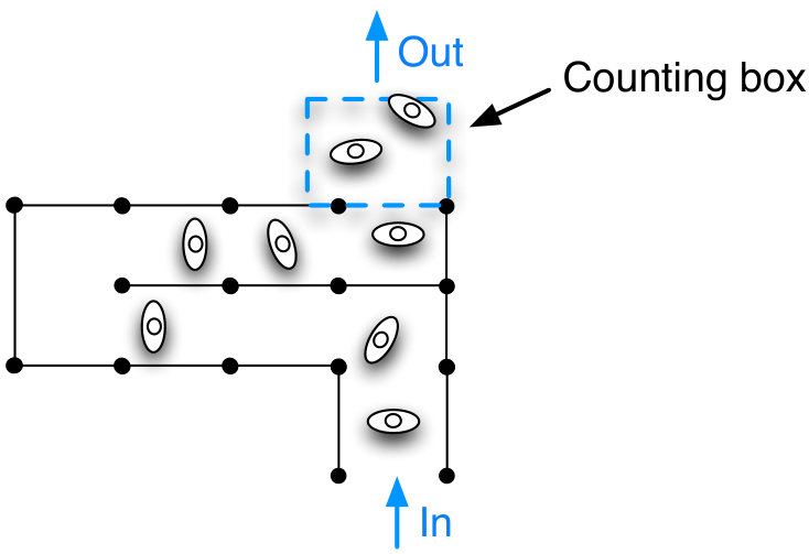 Figure 19