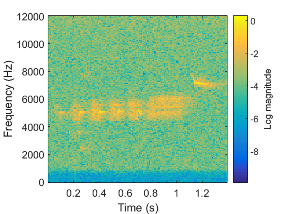 Figure 15