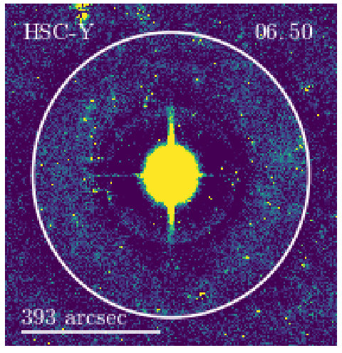 Figure 29