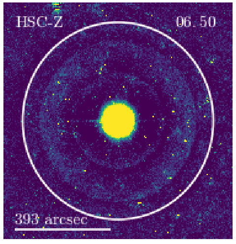 Figure 30
