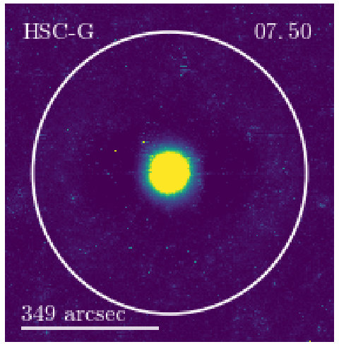 Figure 31