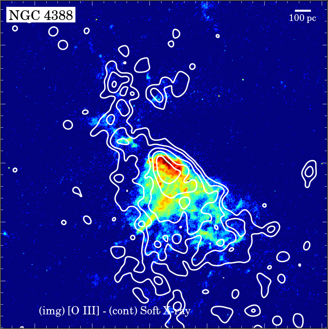 Figure 31