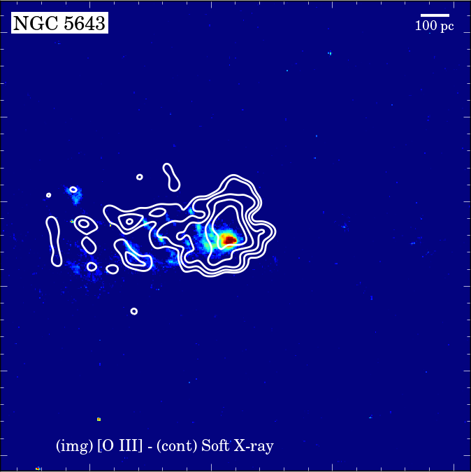 Figure 37