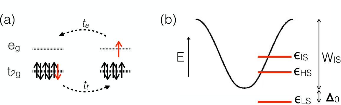 Figure 8