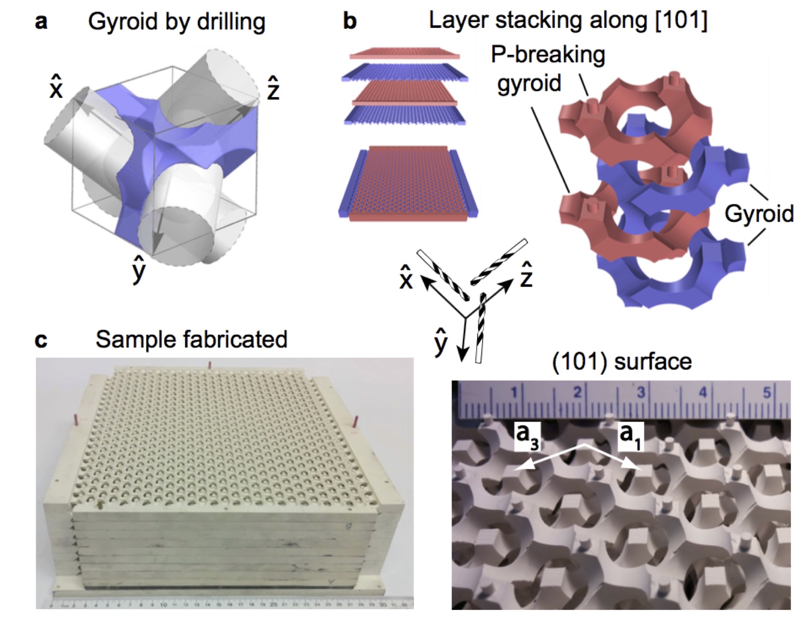 Figure 24