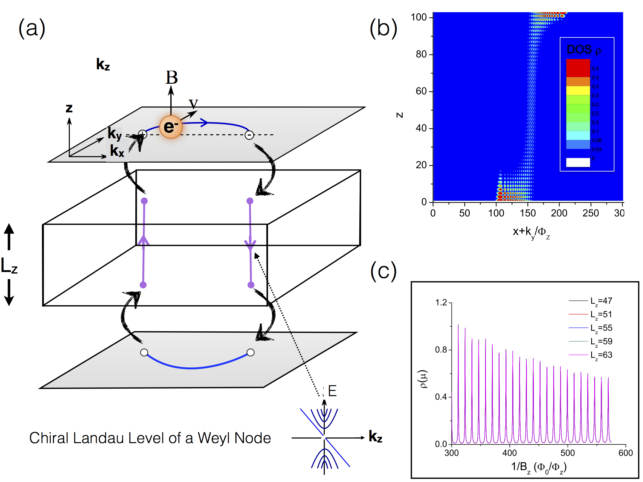 Figure 29