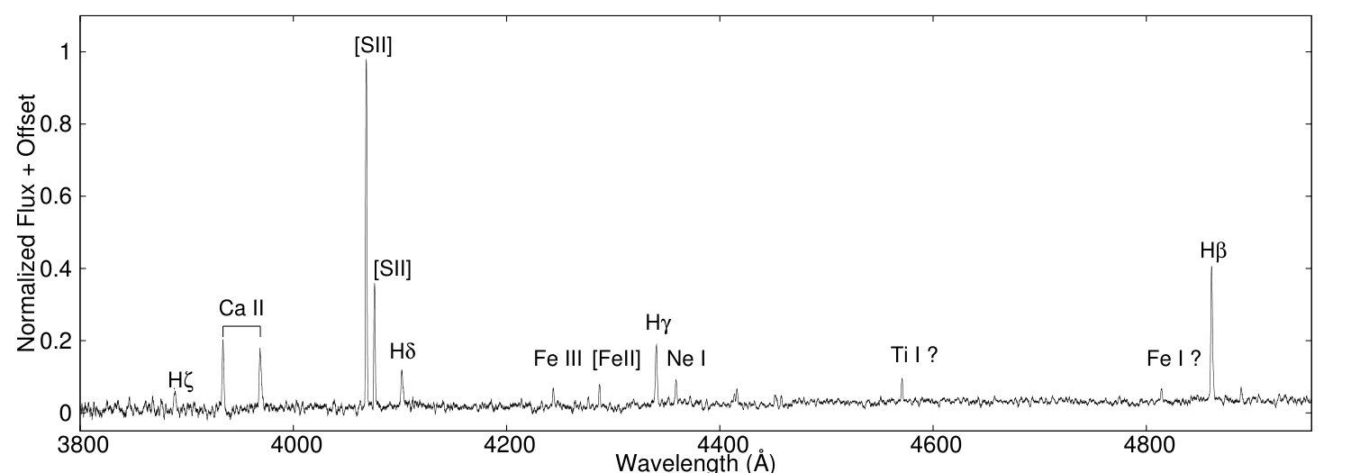 Figure 19