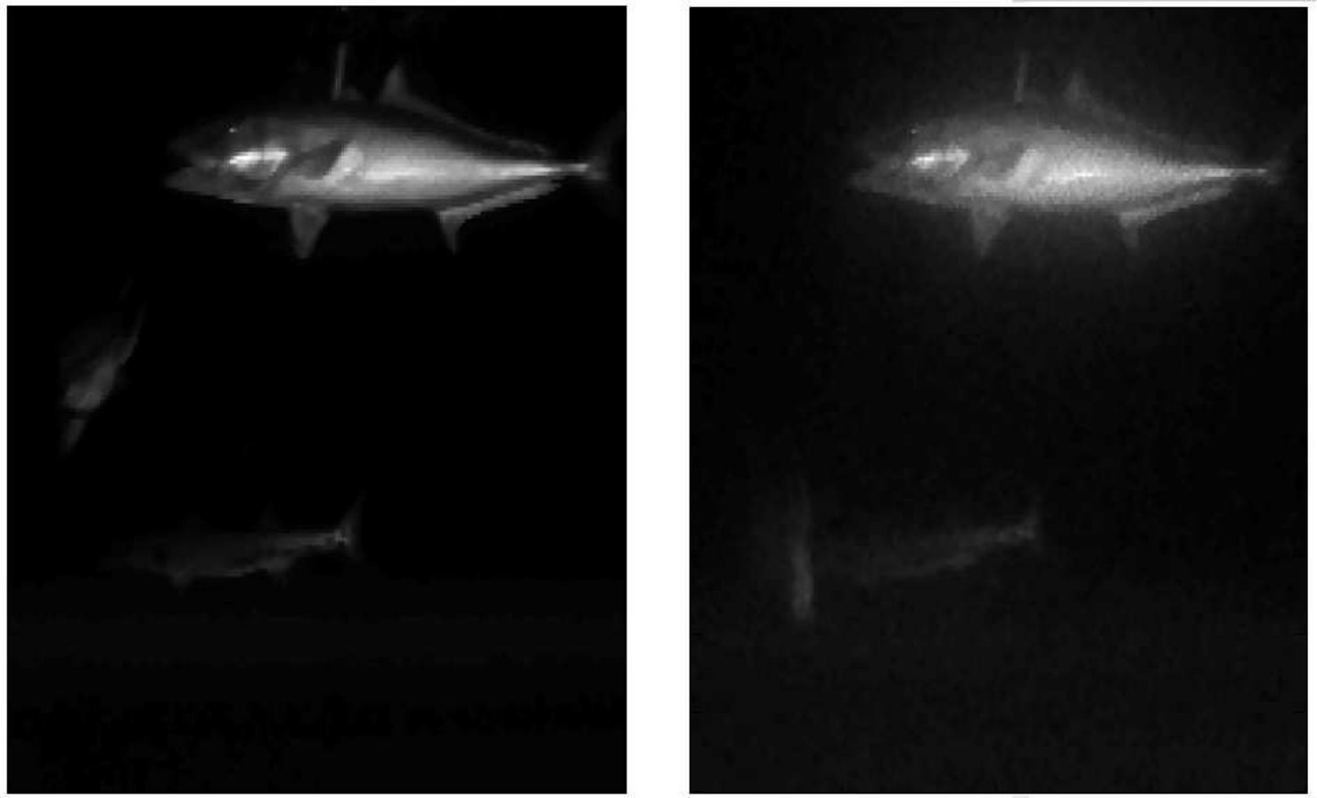 Figure 17