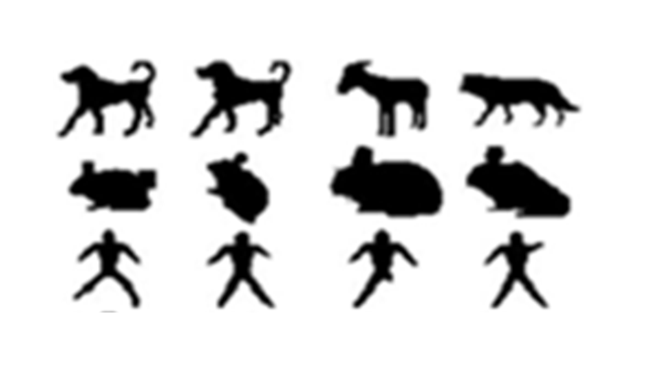 Figure 18