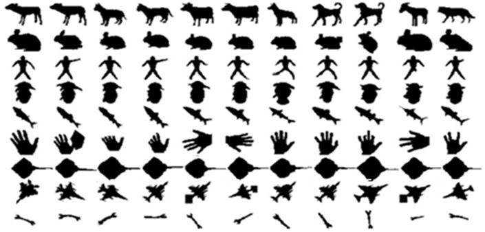 Figure 19