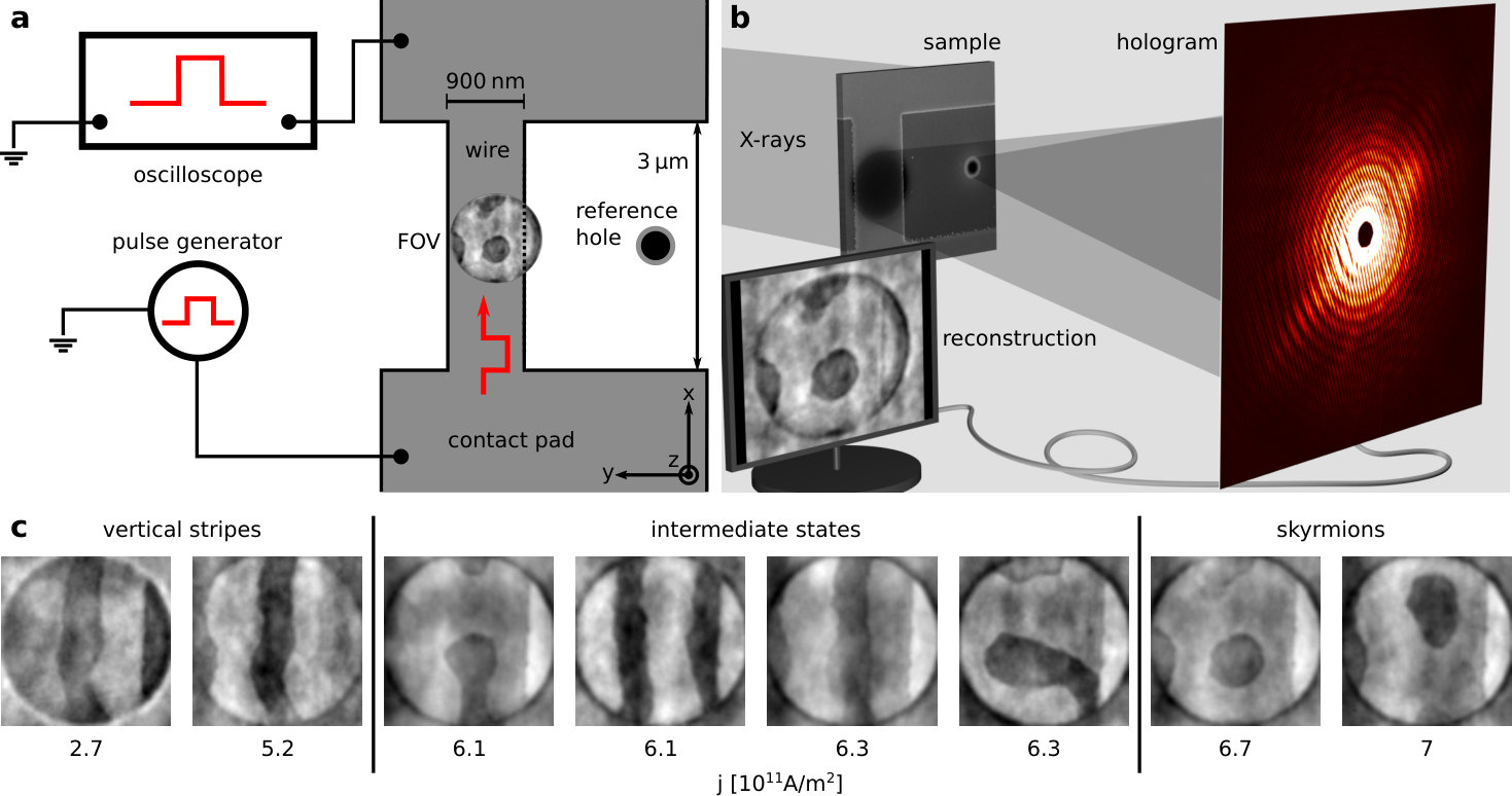 Figure 2