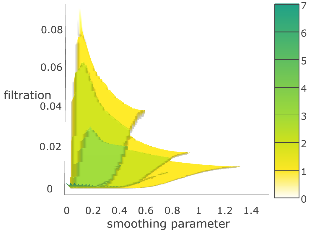 Figure 21