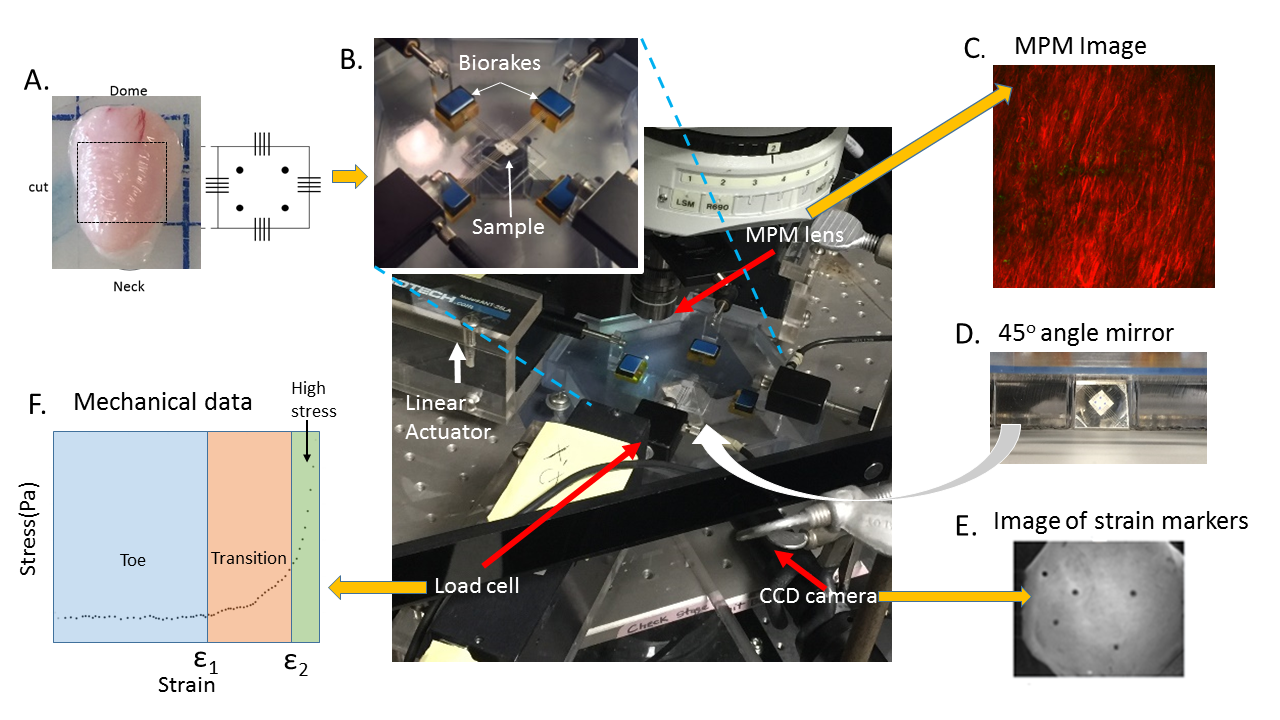 Figure 14
