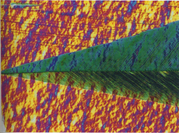 Figure 15
