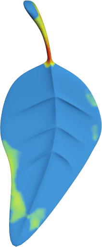 Figure 28