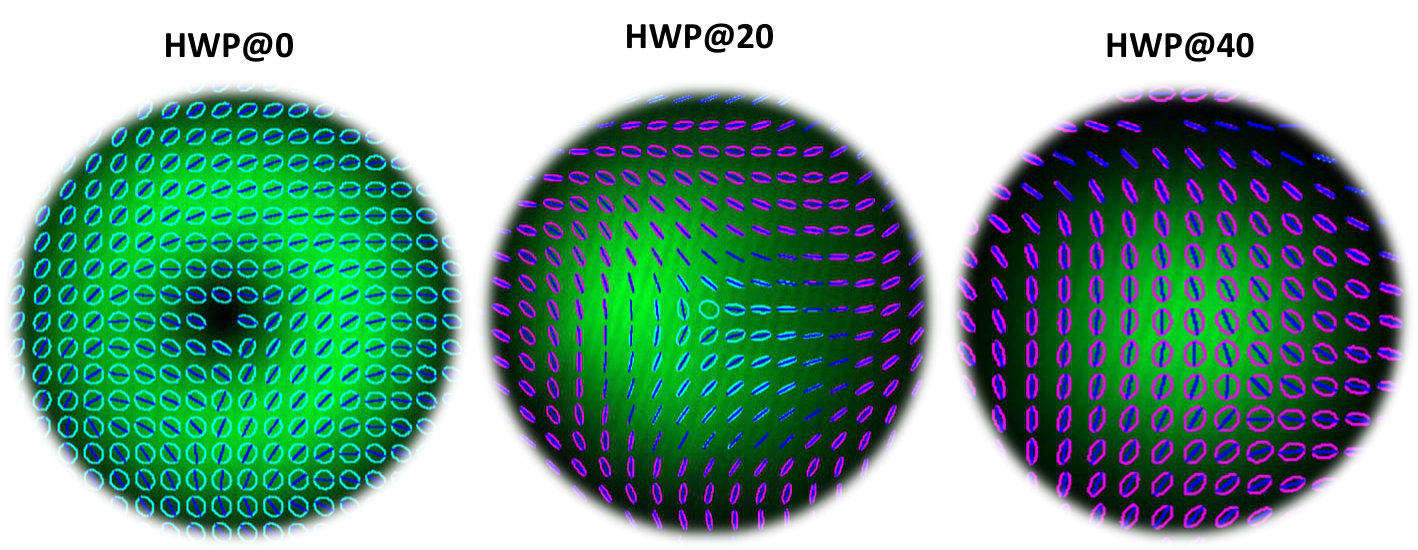 Figure 21