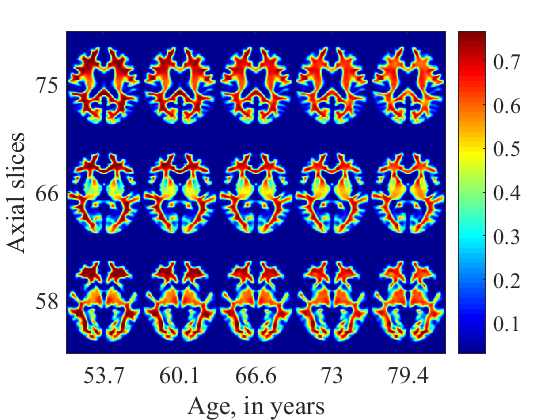 Figure 20