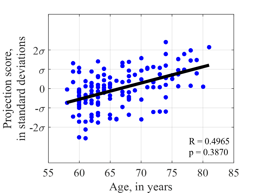 Figure 24