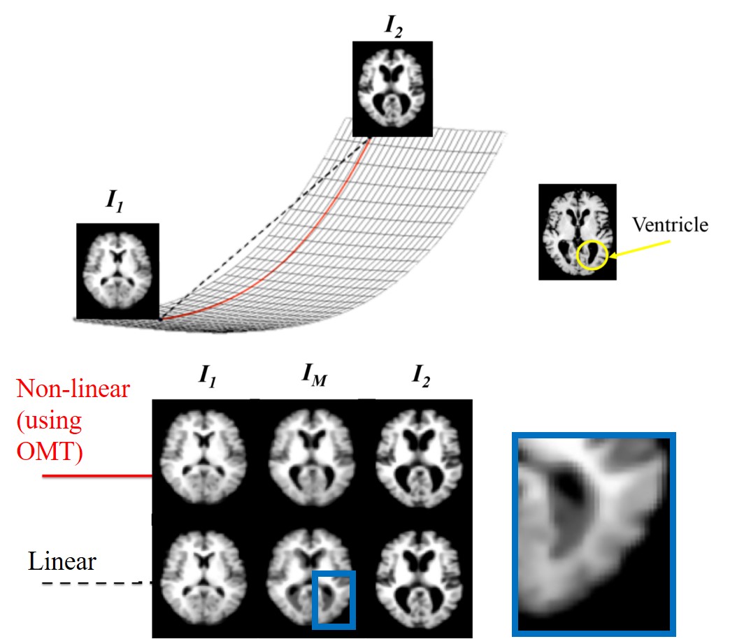 Figure 31