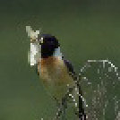 Figure 20