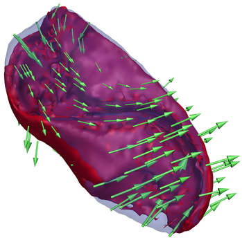 Figure 9