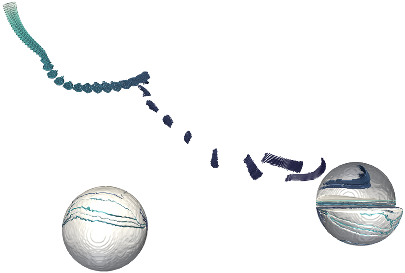 Figure 29