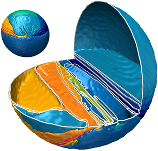Figure 30