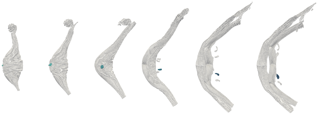 Figure 32