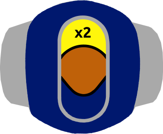 Figure 29