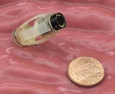 Figure 10