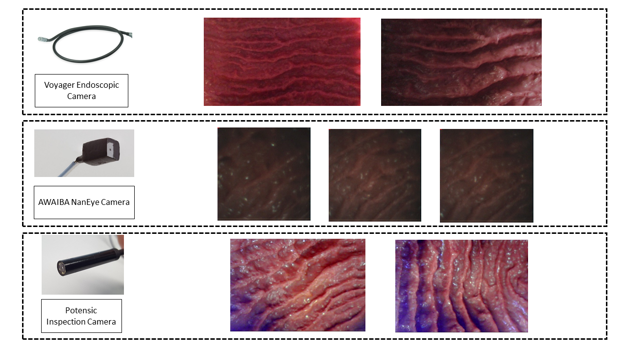Figure 5
