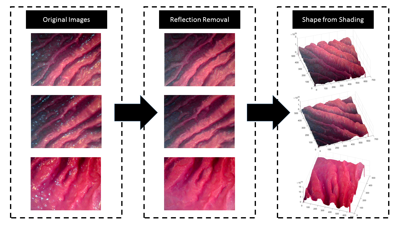 Figure 19