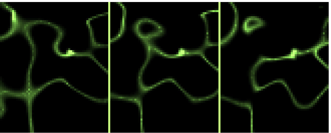 Figure 17