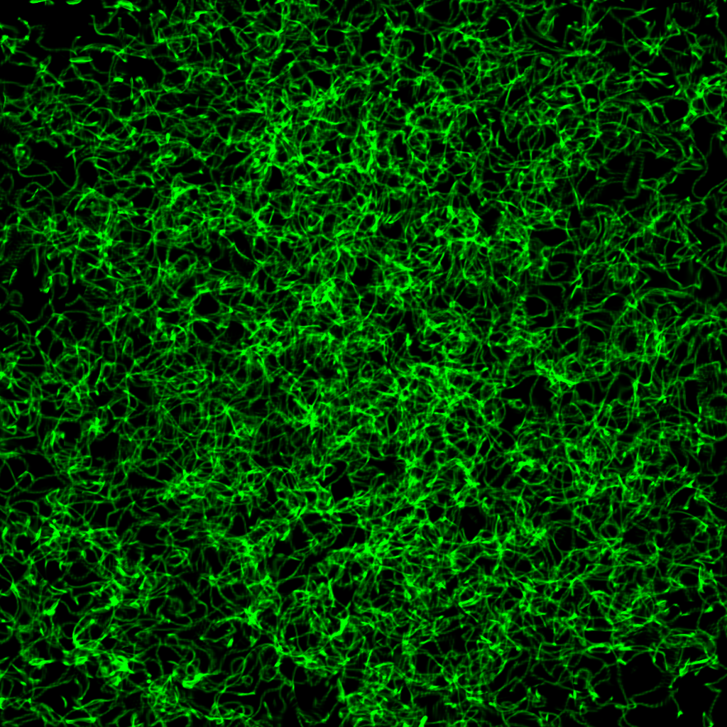 Figure 25