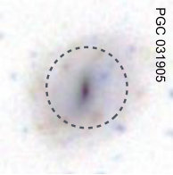 Figure 17