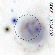 Figure 25
