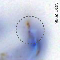 Figure 29
