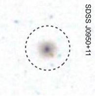 Figure 31