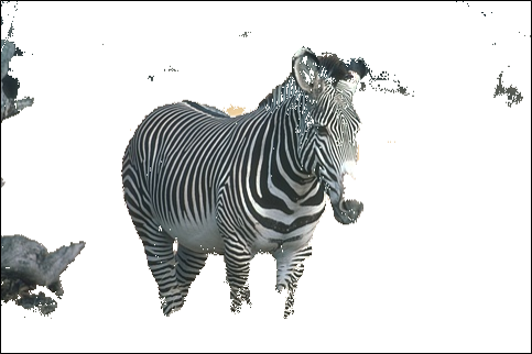 Figure 30
