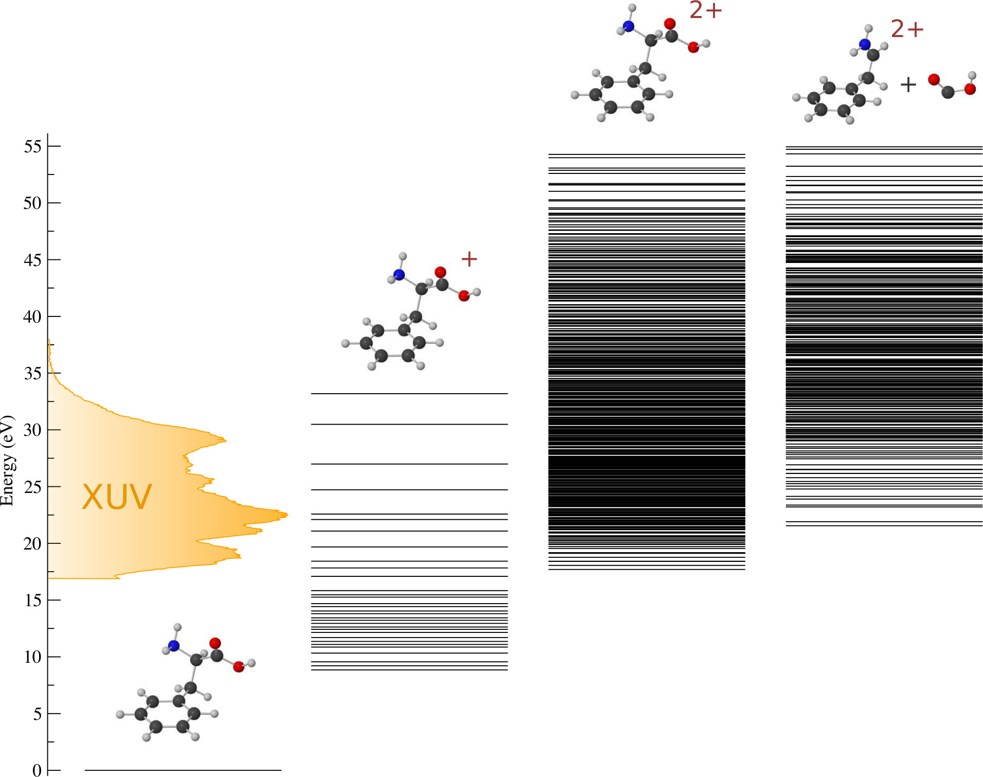 Figure 20