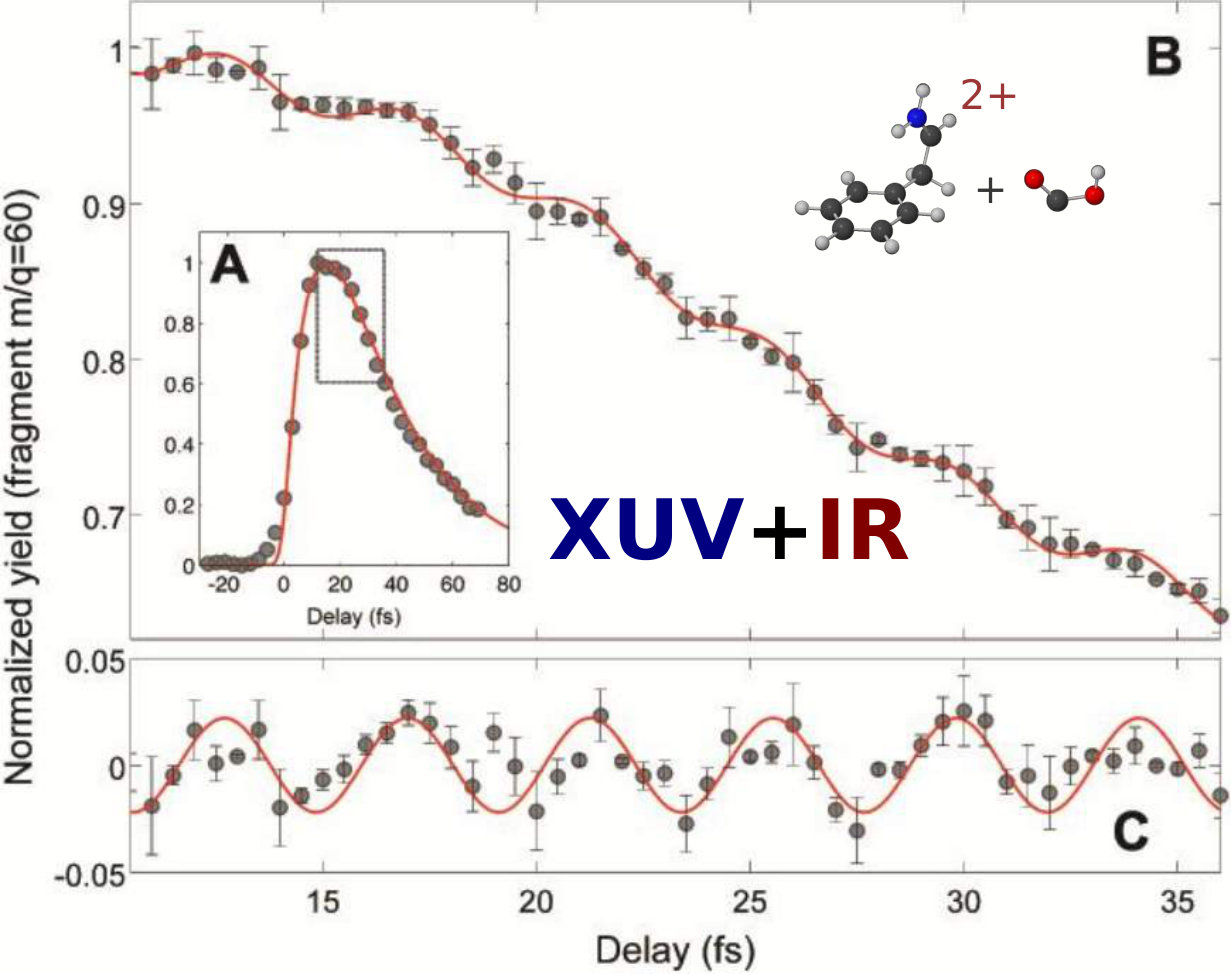 Figure 21