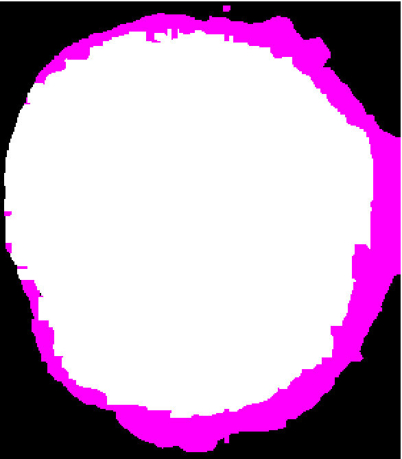 Figure 8