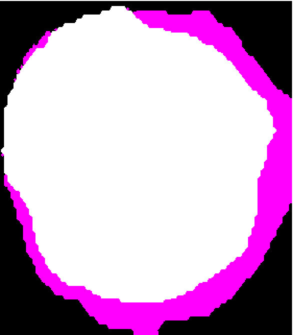 Figure 12