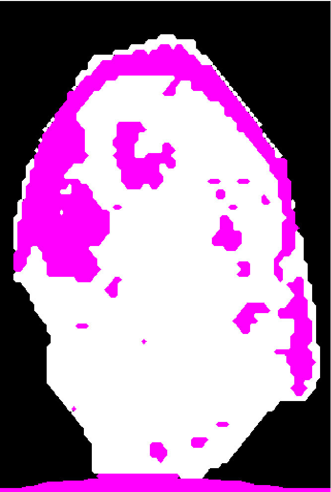 Figure 15